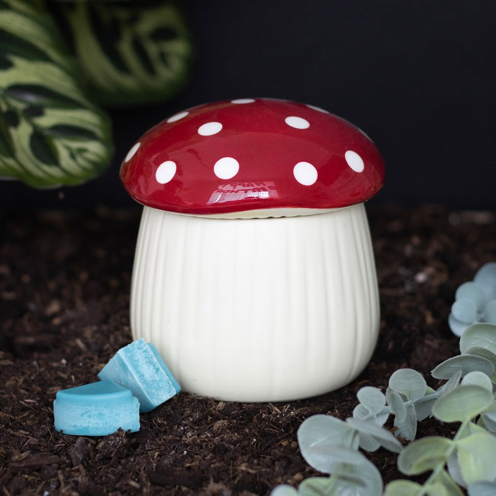 Oil Burners and Wax Melts
